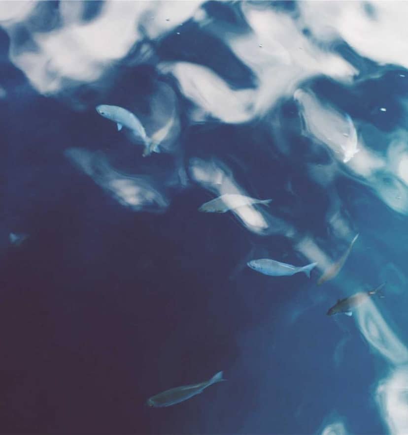 Unauth title iMRuxEEg